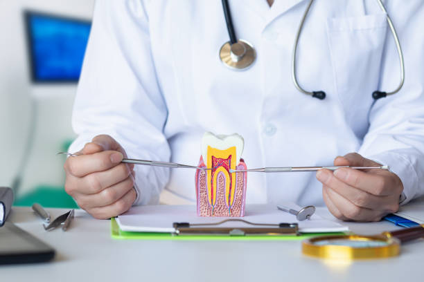 Best Weekend Emergency Dentist in Mansfield, LA